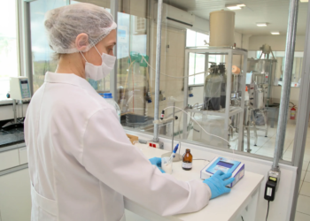 Paraná lidera abertura de vagas para mulheres na região Sul