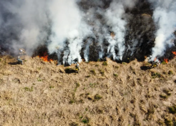 Atear fogo em lixo em terrenos baldios responde por mais de 30% dos incêndios no Paraná