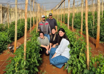 Inicia nova fase do programa que transforma pesquisas em novos produtos