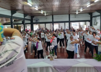 Plataforma garante registro de informações de saúde de idosos