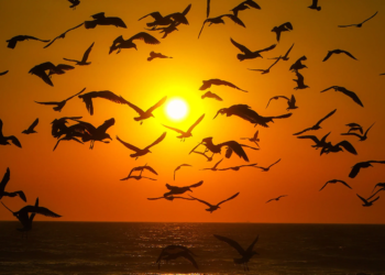 Temperatura pode chegar a 32ºC em Paranavaí e Querência do Norte