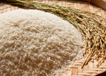 Conab realizará leilões de contrato de opção de venda de arroz na próxima semana