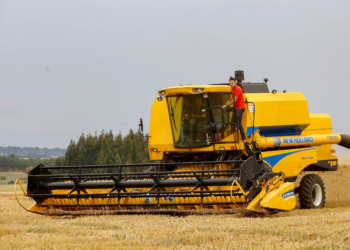 Salários da agropecuária do Paraná crescem e superam em 58% a média nacional