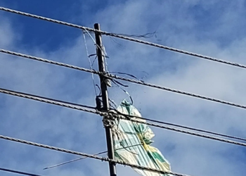 Proibido por lei no Paraná, cerol de pipas corta linhas de energia e põe vidas em risco