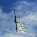 Proibido por lei no Paraná, cerol de pipas corta linhas de energia e põe vidas em risco