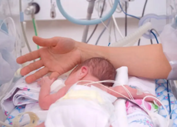 Paraná registra 46 óbitos por sepse em recém-nascidos em 2025