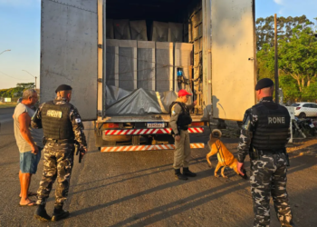 26 pessoas são presas no 1º dia de ação no Norte do Paraná