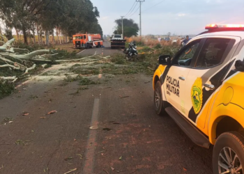 Motociclista morre após ser atingida por árvore na PR-180, em Guairaçá