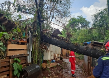 Corpo de Bombeiros do Paraná alerta sobre cuidados diante de fortes chuvas e ventos
