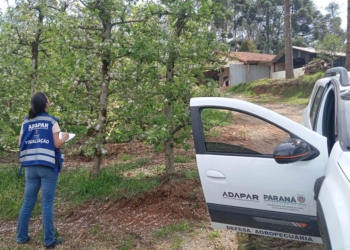 Adapar anuncia concurso público com salários de até R$ 8,4 mil