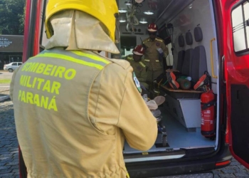 Corpo de Bombeiros registra 300 ataques de cachorros desde o início do ano