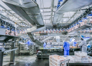 85% das cidades paranaenses registram saldo positivo de empregos em 2025