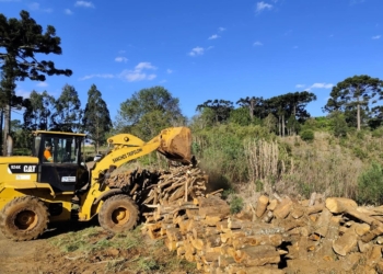 DER/PR alerta que pegar madeiras de rodovias em obras configura crime de furto