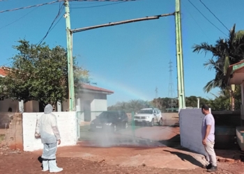 Adapar promove ações de biosseguridade em granjas de todo o Paraná