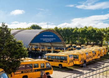 Secretaria da Educação reforça orientações sobre cadastramento do transporte