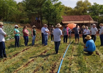 Com salários de até R$ 9.466,72, IDR-Paraná abre inscrições para PSS neste sábado
