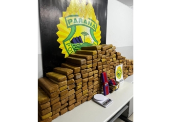 Polícia Militar realiza mais de 300 prisões em ação estratégica em locais com grande circulação