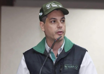 Manejo do solo é aliado contra perdas causadas por eventos climáticos