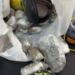 Polícia Civil prende quatro pessoas e apreende adolescente em ação contra o tráfico