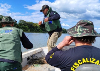 Restrição de pesca vai até 28 de fevereiro