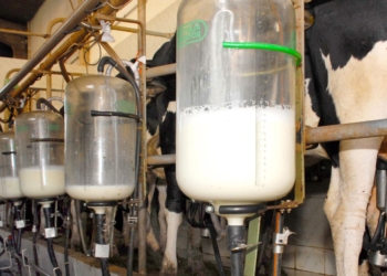 Sistema Faep manifesta preocupação com queda no valor pago aos produtores de leite