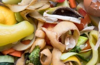 Mais de 420 mil pessoas morrem por ano por alimentos contaminados
