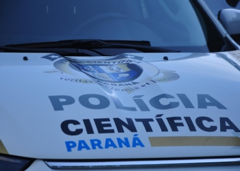 Motociclista que pilotava na contramão morre em acidente na BR-376, diz PRF