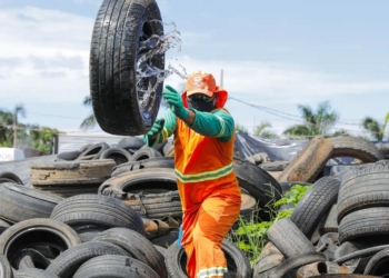 Paraná mobilizado para o Dia Nacional de Combate à Dengue