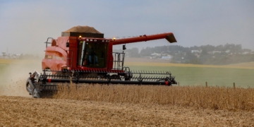 Chuvas do início de novembro provocam adaptações na agricultura paranaense