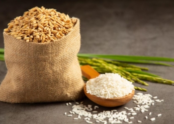 Conab pode comprar até 137 mil toneladas de arroz da safra 2024/25 para formação de estoques