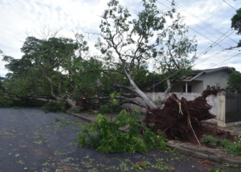 Temporal causa estragos e deixa mais de 3 mil imóveis sem energia em Paranavaí