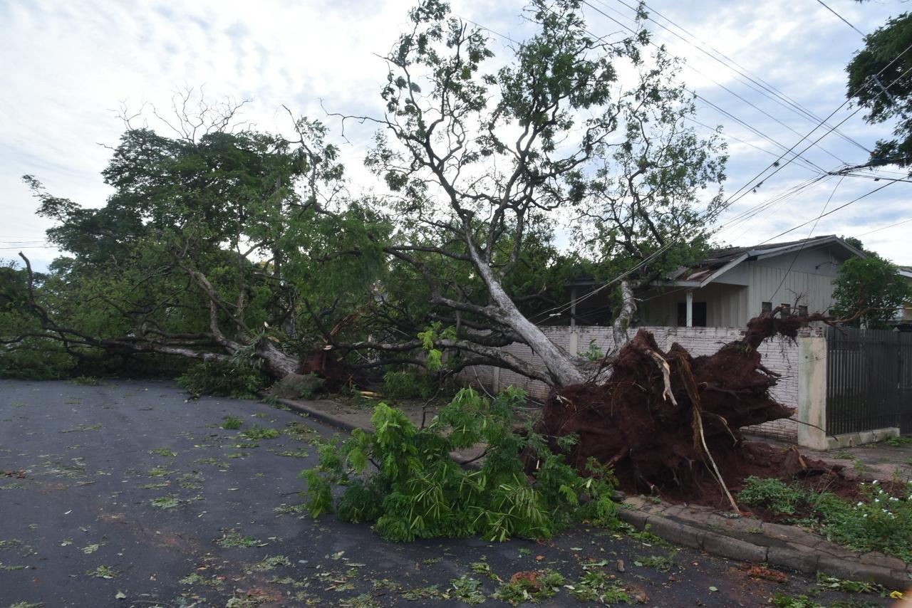 Temporal causa estragos e deixa mais de 3 mil imóveis sem energia em Paranavaí