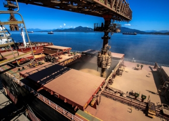 Exportações paranaenses crescem 3,5% em outubro