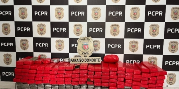 Polícia Civil apreende 172 kg de maconha em residência usada como depósito em Paraíso do Norte