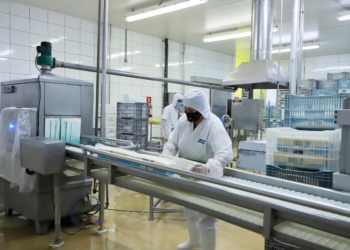 Taxa de desemprego no Paraná cai para 3,5%, a menor para um terceiro trimestre na história