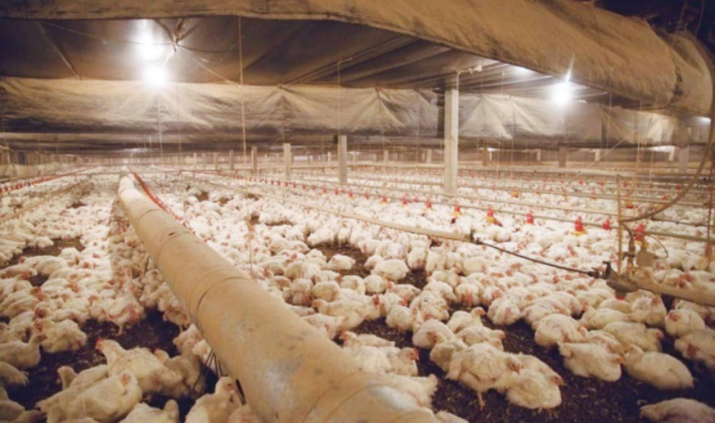 Faep alerta para a remuneração da atividade