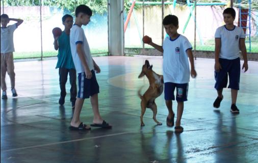 Aulas de educação física na Escola Municipal Getúlio Vargas se tornaram mais animadas
Imagem: Gustavo Romano