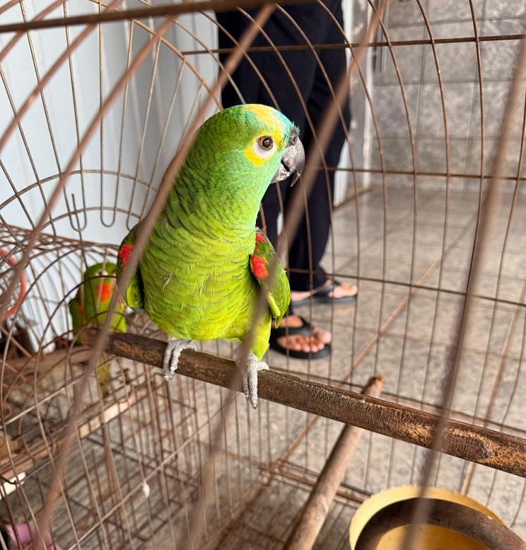 whatsapp_image_2025-12-02_at_15.39.28_2 Foto: PCPR