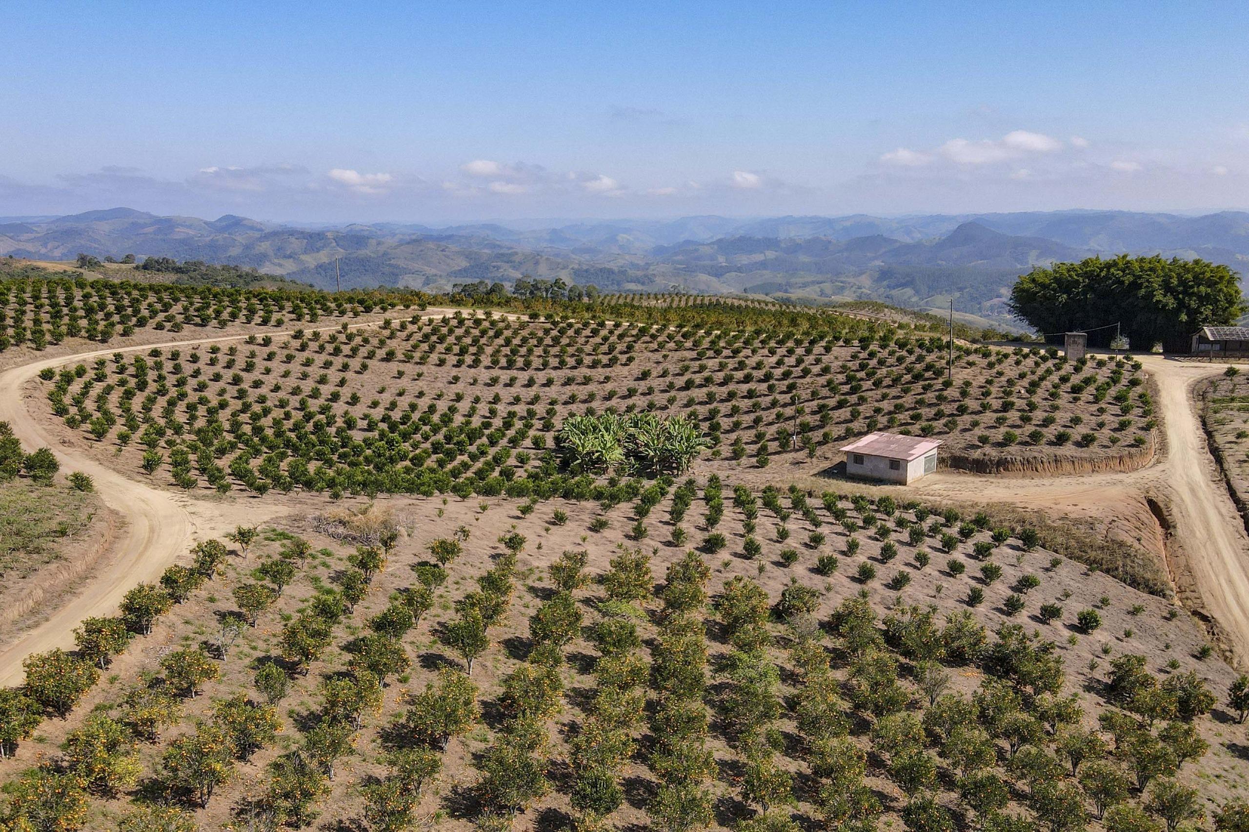 Paraná em Números: painel do Ipardes apresenta dados econômicos e do agronegócio
Foto: Gilson Abreu/Arquivo AEN