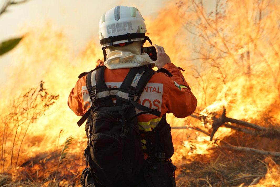 Chuvas e conscientização da população reduzem em 41% incêndios florestais no Paraná em 2025
Foto: CBMPR