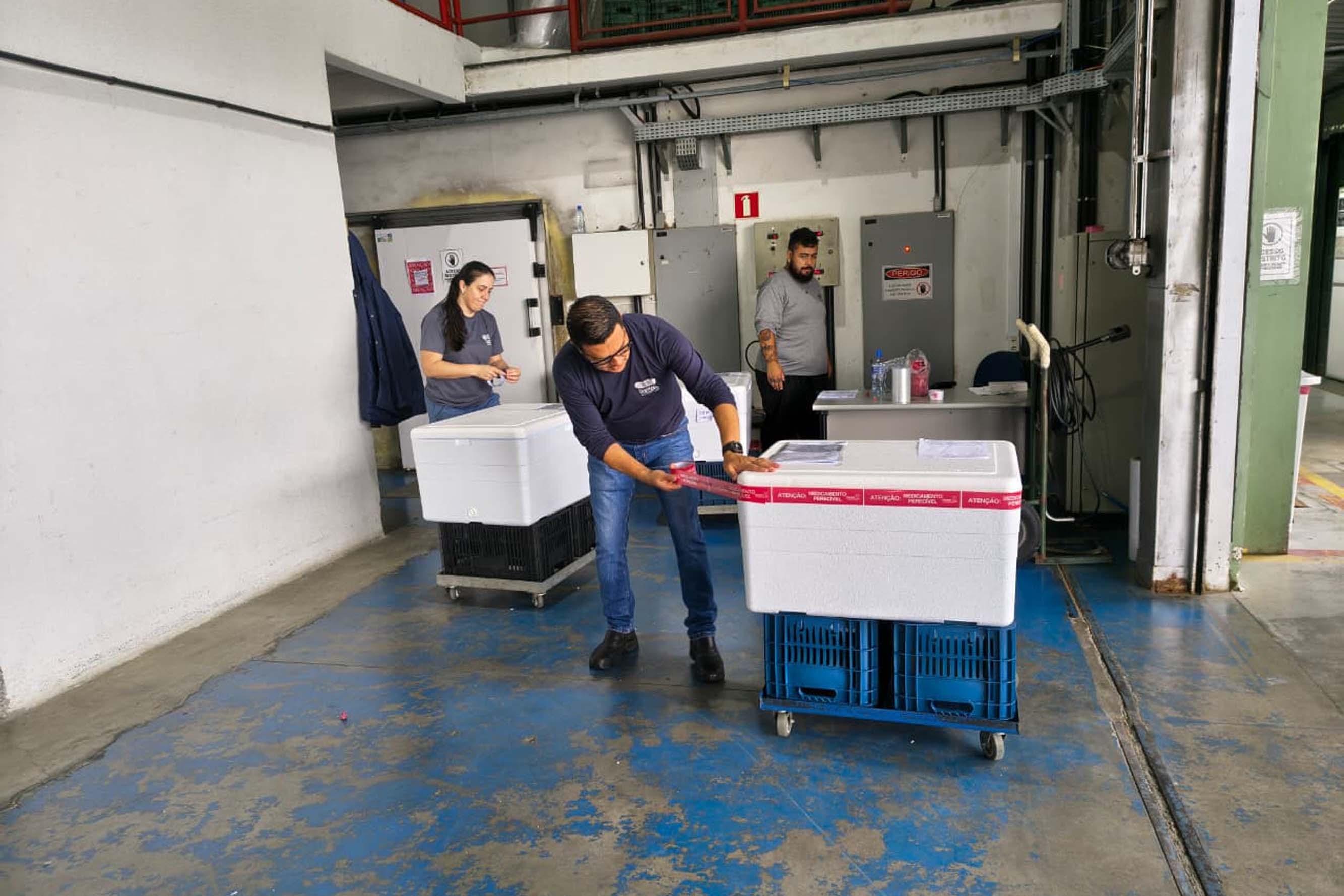 Vacinas são distribuídas para todo o Paraná
Foto: Sesa