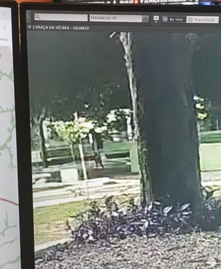 Foto: Guarda Civil Municipal