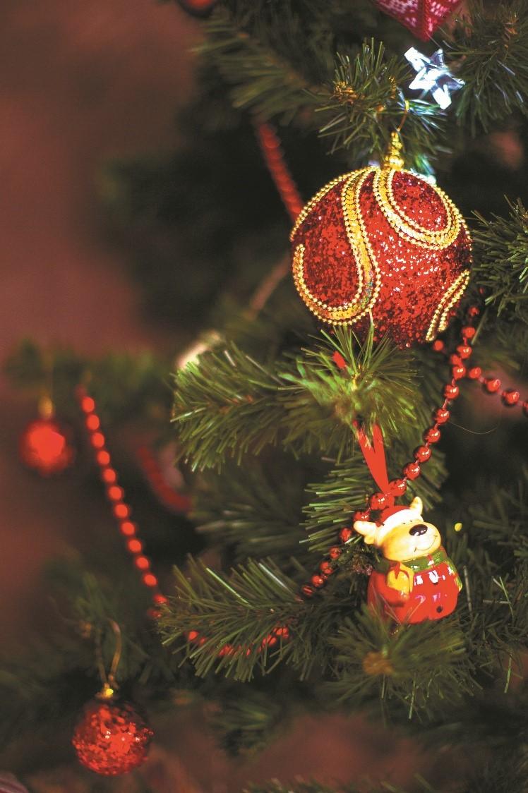 Verde e vermelho dominam as decorações natalinas