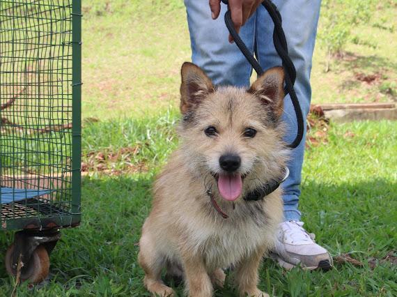 Crédito: Divulgação/PMM