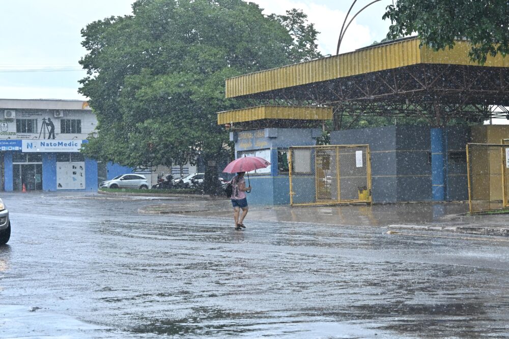 DNT_8905 Foto: Ivan Fuquini/Arquivo DN