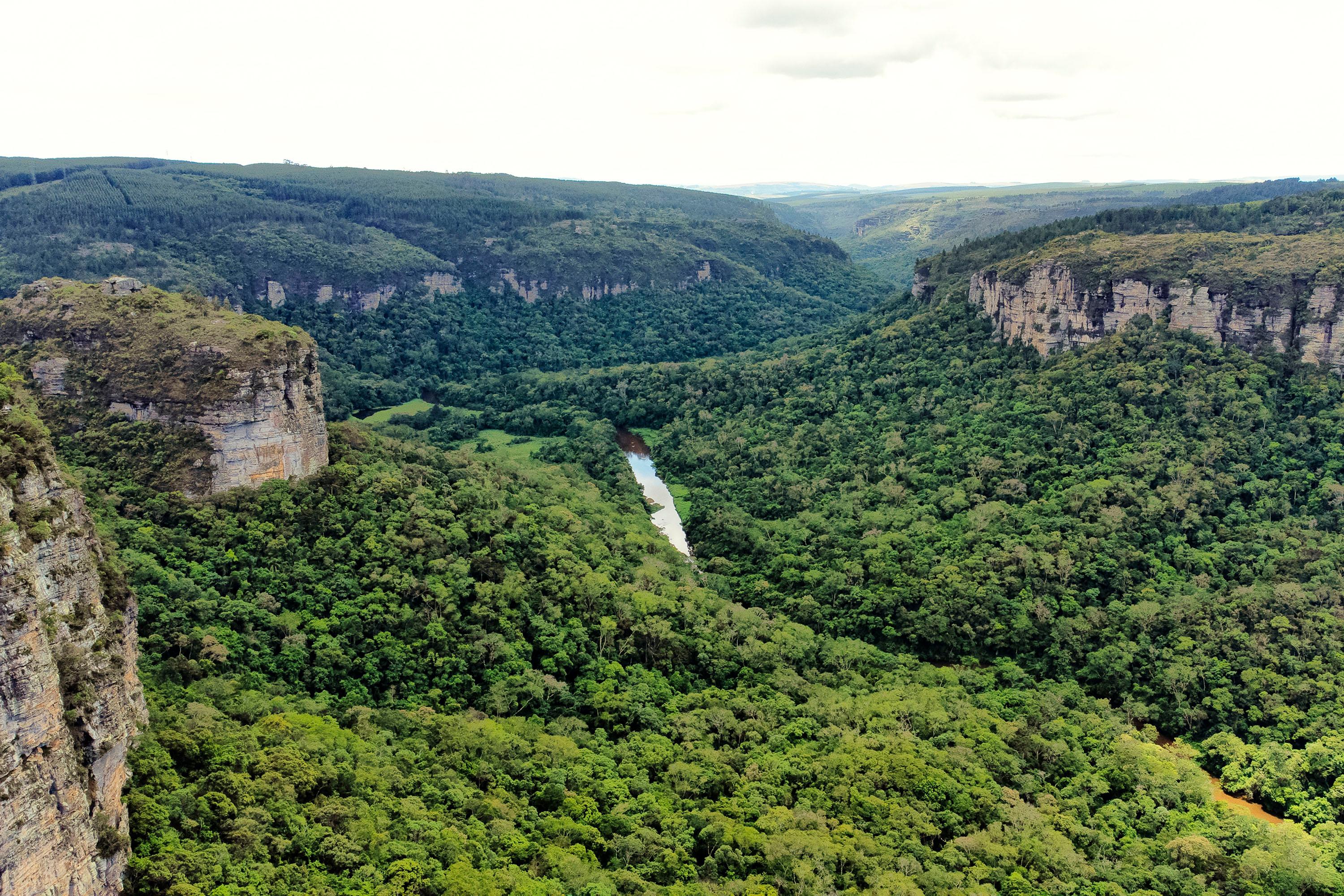 s-meio ambiente Recursos serão aplicados em ações de conservação, proteção e recuperação de áreas de proteção ambiental
Foto: Denis Ferreira Netto/Sedest
