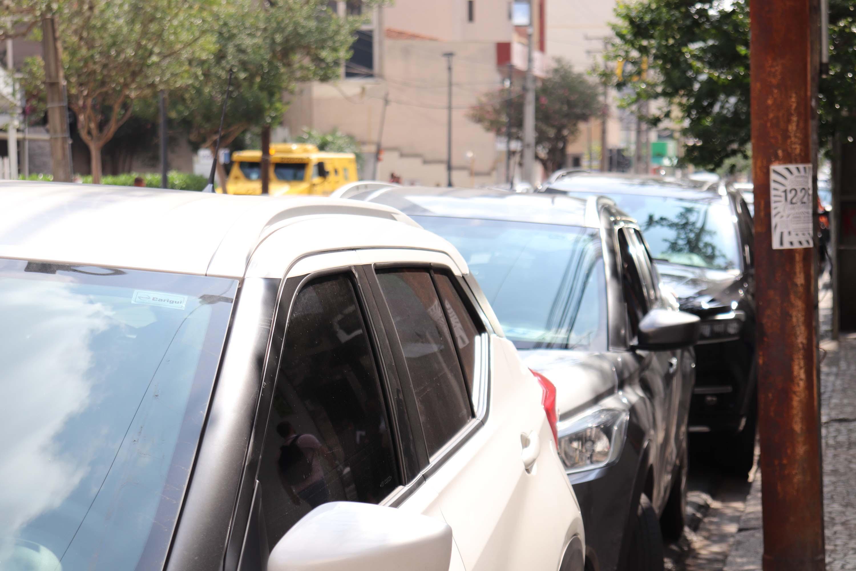 img_8734 Foto: Gaby Smek/SEFA