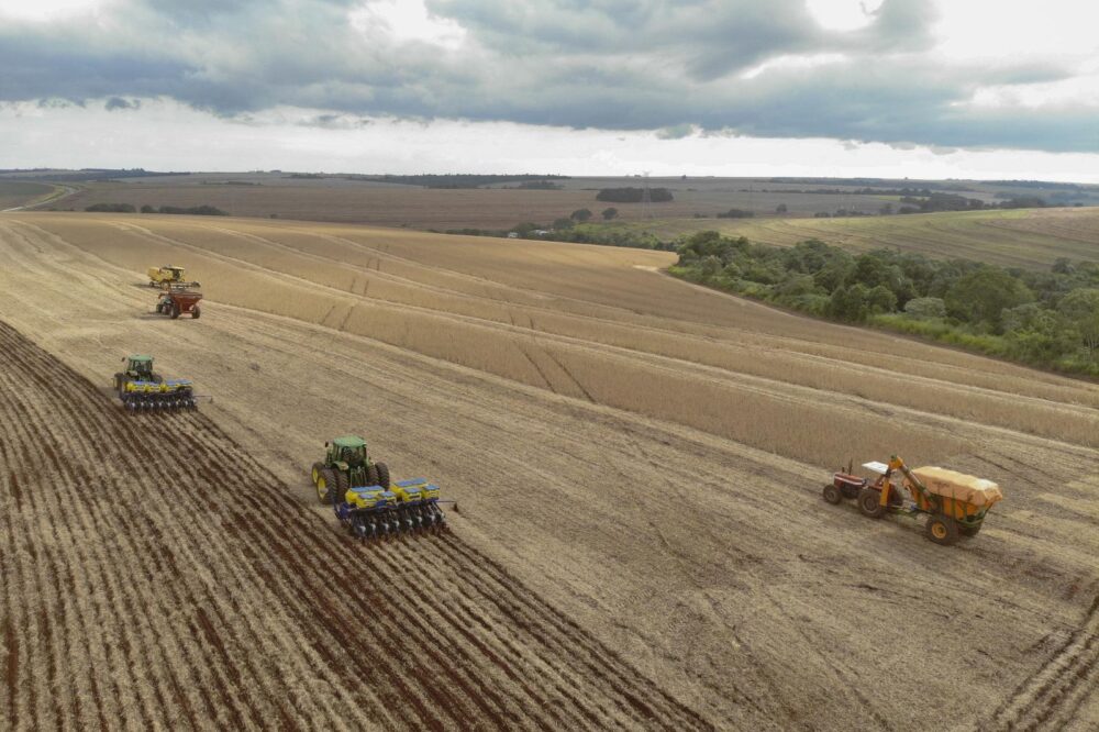Condições climáticas têm favorecido o desenvolvimento das lavouras até o momento - Foto: Gilson Abreu/Arquivo AEN