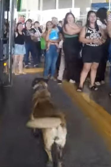 Foto: Reprodução/AEN