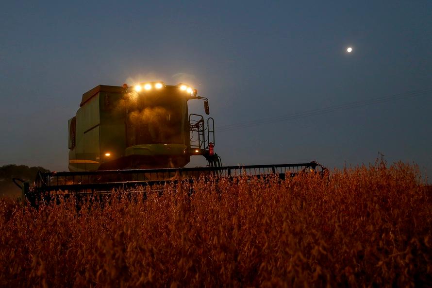 Soja é uma das culturas de destaque no levamento
Foto: Gilson de Abreu/AEN